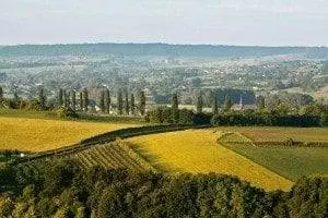 landschap (32)