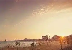 Barceloneta strand Barcelona - In Barcelona combineer je stad met strand.